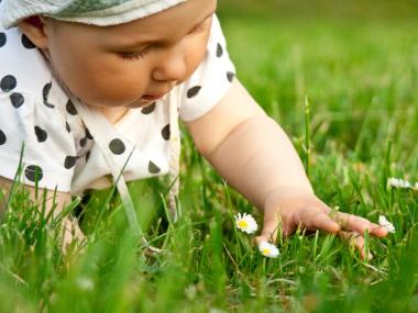 kravlende baby på græs